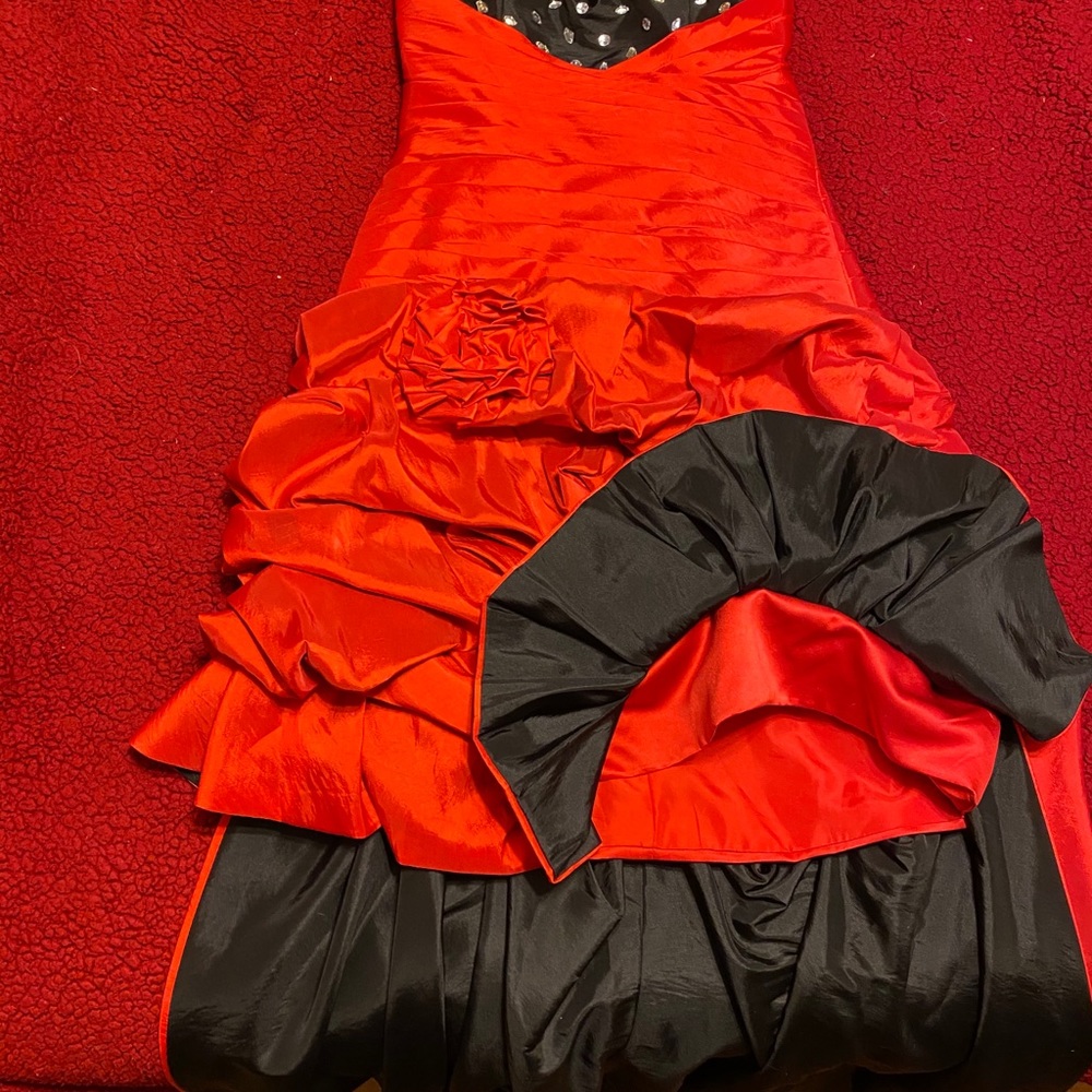 Formal Gown - Picture 4 of 6